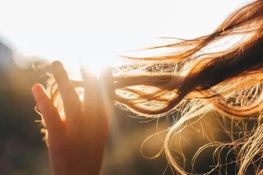 Comment entretenir ses cheveux - Bio-Actif