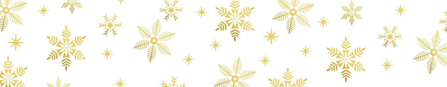 Offres Festives - Bio-Actif