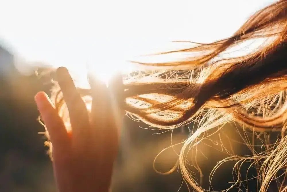 Comment entretenir ses cheveux - Bio-Actif