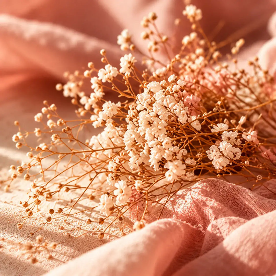 formats découverte bio-actif