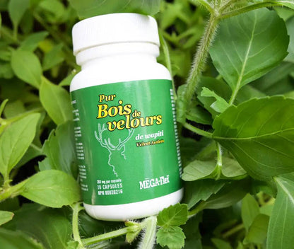 Bois de Velours Méga - Flex – Renforcement des Articulations et Vitalité Globale - Bio - Actif