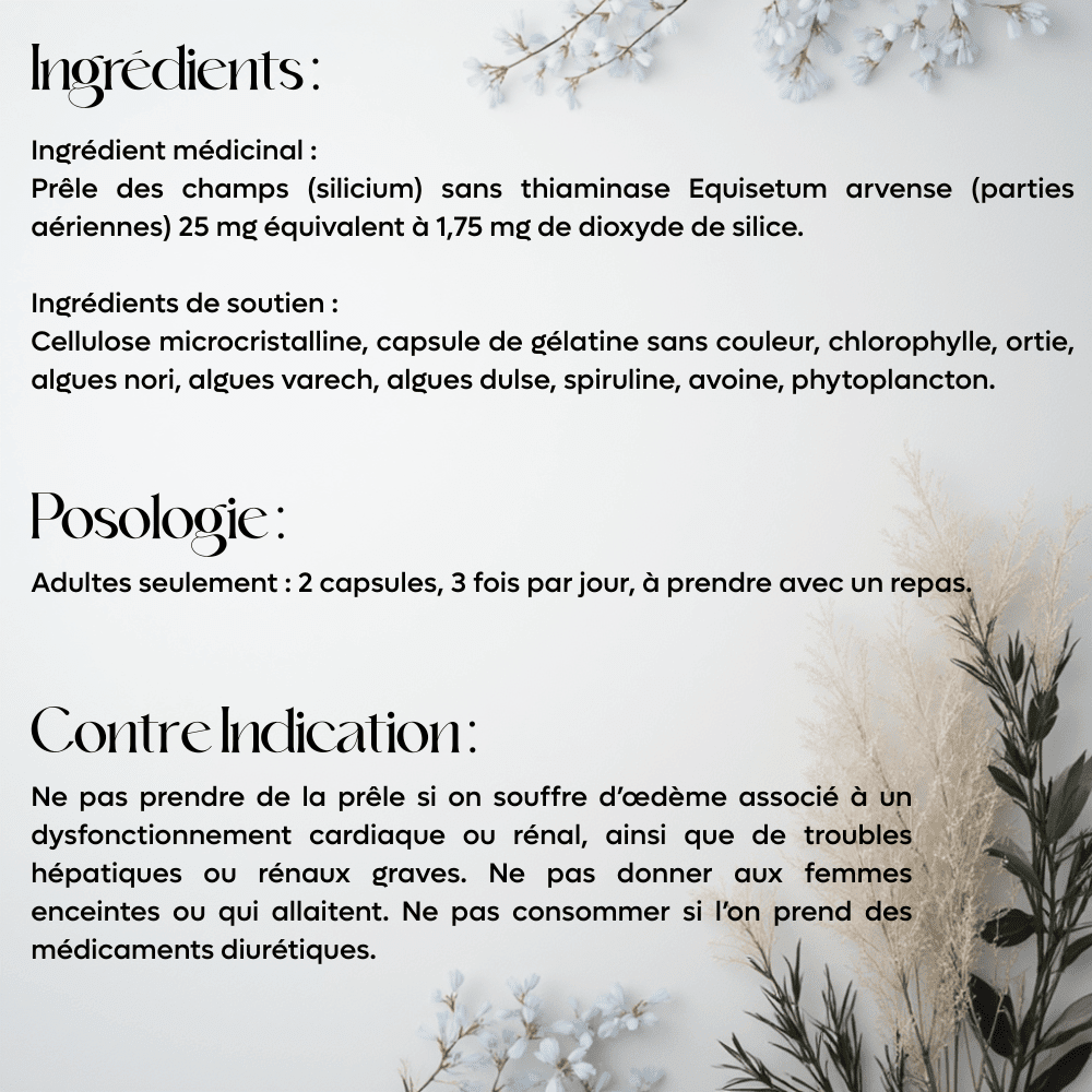 Capsules Terre - Mer - Complément naturel à la silice - Bio - Actif