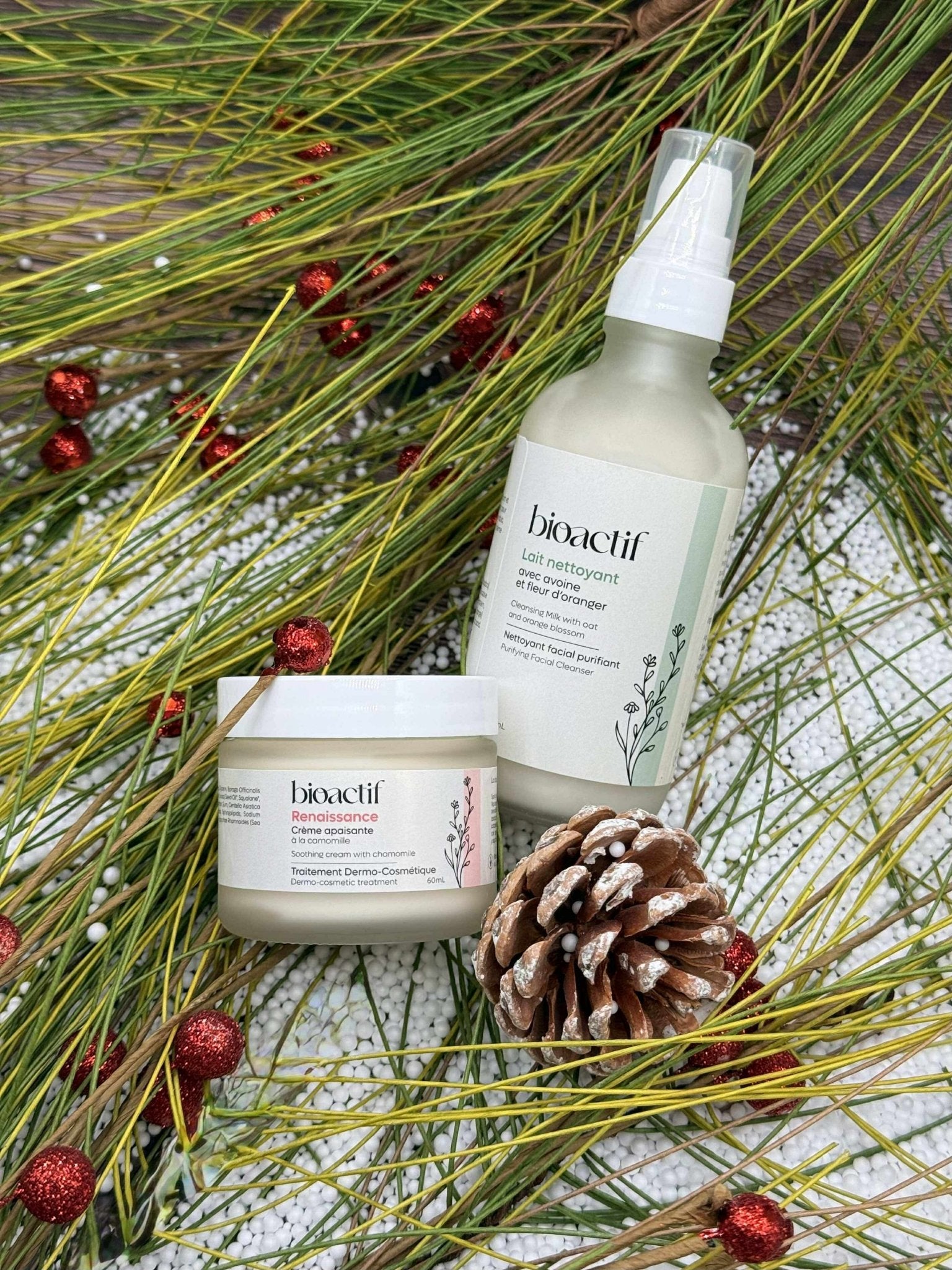 Duo Renaissance des Fêtes - Bio - Actif